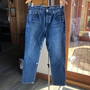 Adriano Goldschmied ButtonFly Alexis Slim High Rise Jean (Sz 30R)